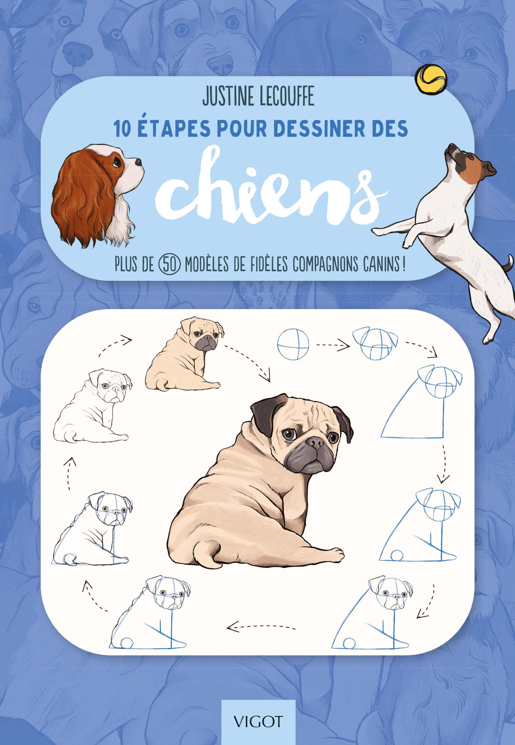 10 étapes pour dessiner des chiens