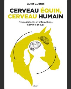 Cerveau équin, cerveau humain