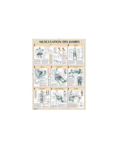 Musculation des jambes planche plastifiée
