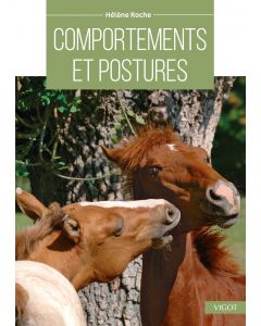 Comportements et postures