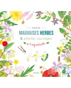 Mauvaises herbes et plantes sauvages à l'aquarelle