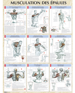 Poster : Musculation des épaules