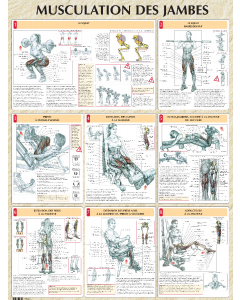 Poster : Musculation des jambes