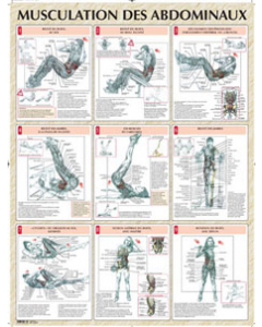 Poster : Musculation des abdominaux