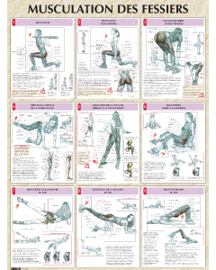 Poster : Musculation des fessiers
