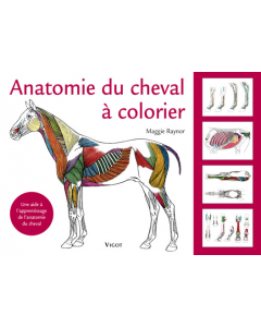 Anatomie du cheval à colorier