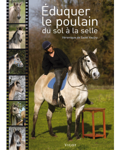 Eduquer le poulain du sol à la selle