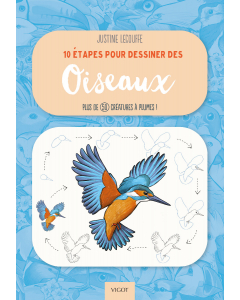 10 étapes pour dessiner des oiseaux